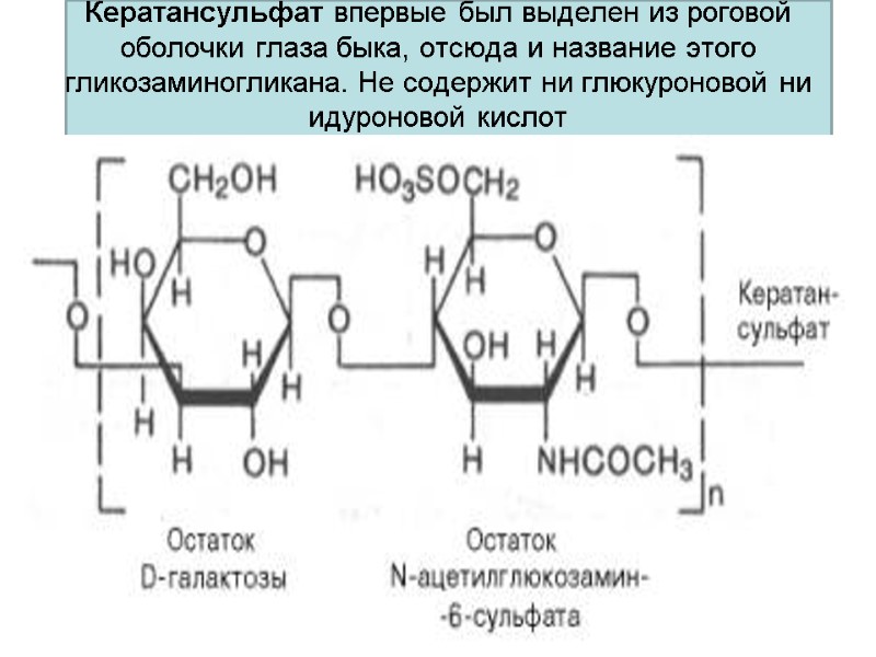 Кератансульфат впервые был выделен из роговой оболочки глаза быка, отсюда и название этого гликозаминогликана.